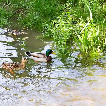 Dubravac * Tribalj (Primorsko-Goranska)